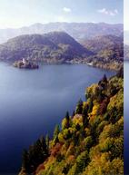 International Policy Conference venue Lake Bled,
Slovenia