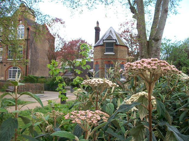 The Meeting House
From the Public Garden