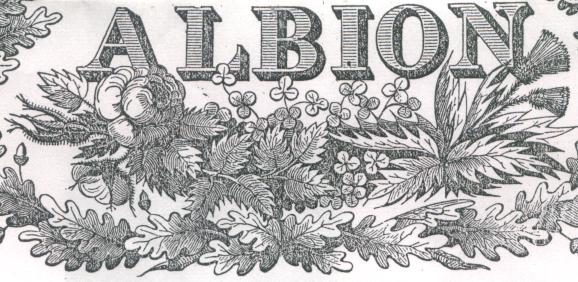 Part of The Albion masthead